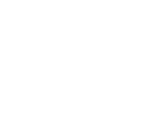 Lionheart mark